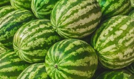 吃瓜爆料短剧吃瓜爆料大赛每日聚集地 爆炸瓜视频,每日聚集地揭秘爆炸瓜视频